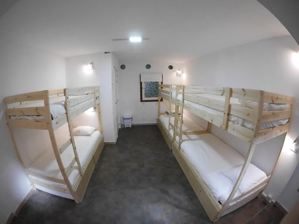 Room, Drago Nest Hostel, Tenerife