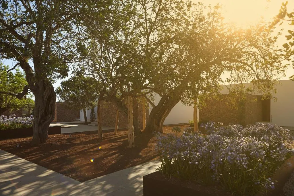Terrace, Ca Na Xica - Hotel & Spa, Ibiza