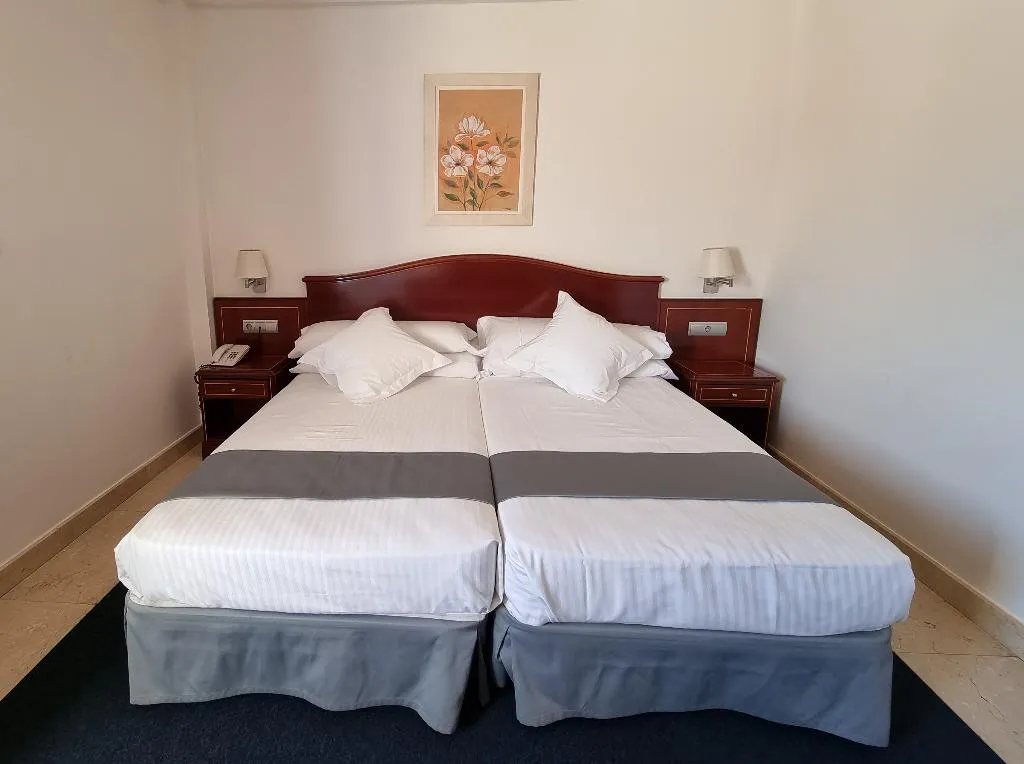 DOUBLE SINGLE USE STANDARD Room, Gran Legazpi, Madrid