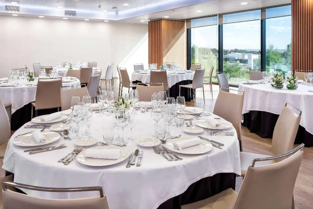 Conferences, Melia Avenida America, Madrid