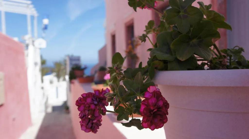 General view, Marcos Rooms, Santorini