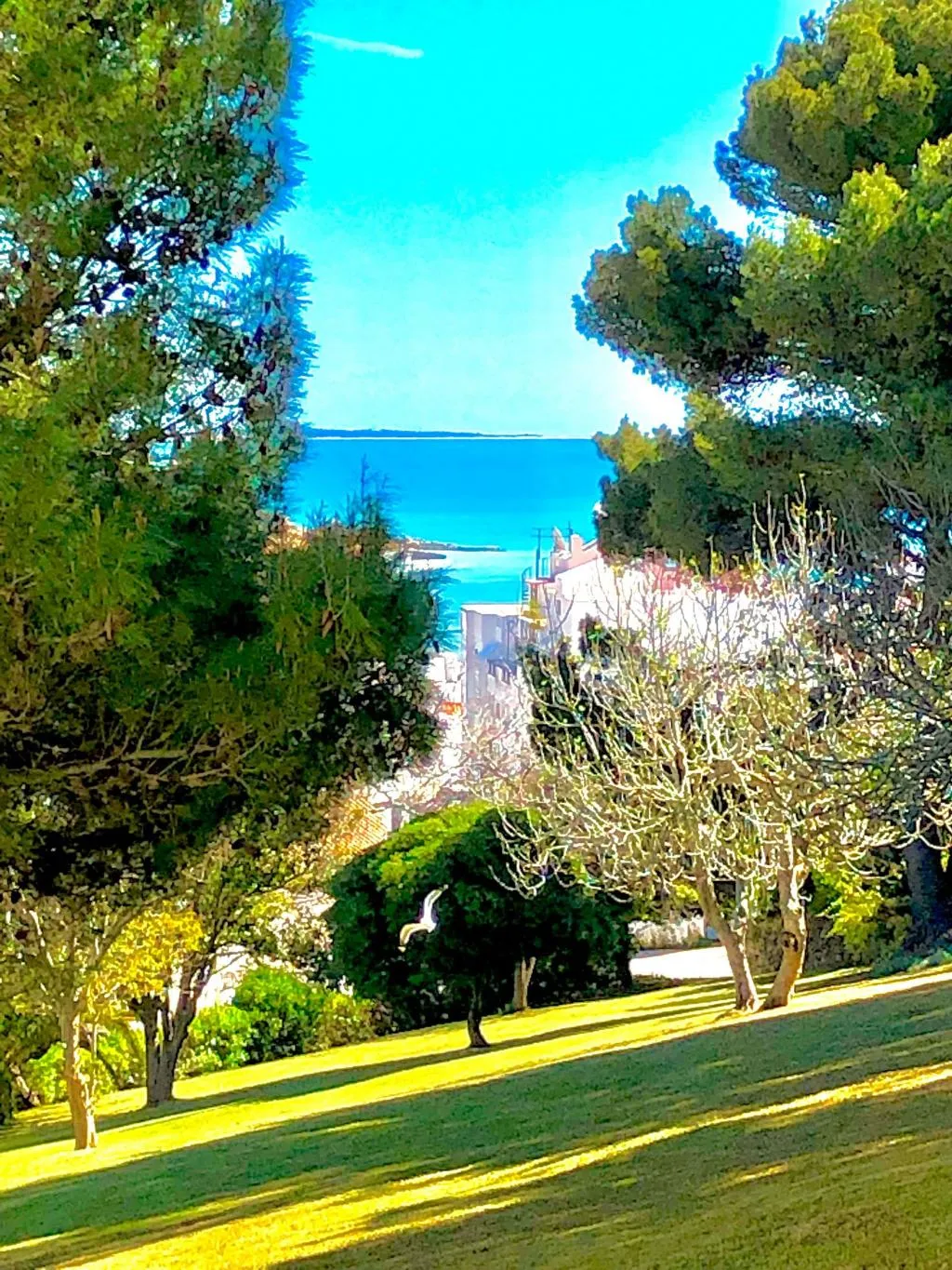 General view, Albufeira Jardim Apartments, Algarve