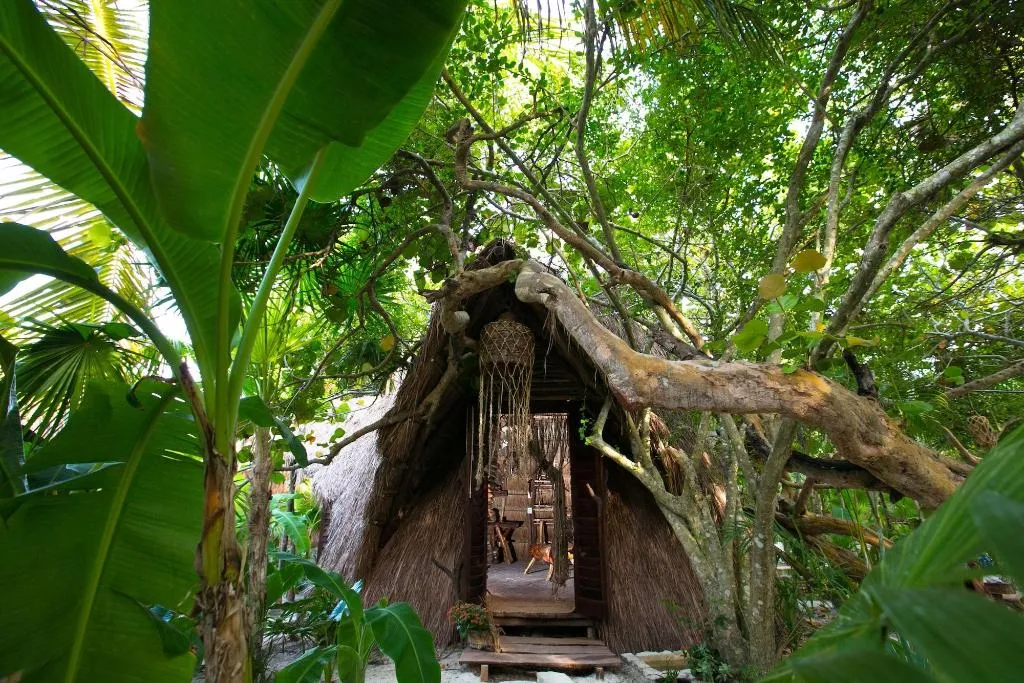 Room, Ikal Hotel Tulum, Cancun Area