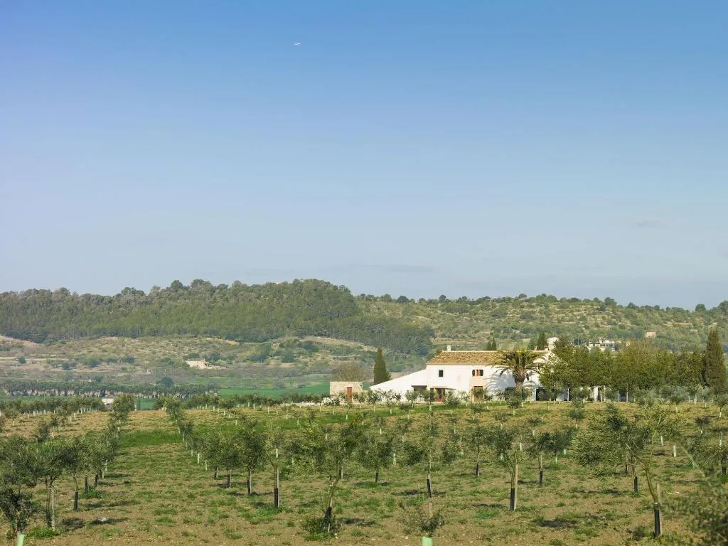 General view, Agroturisme Gossalba, Majorca