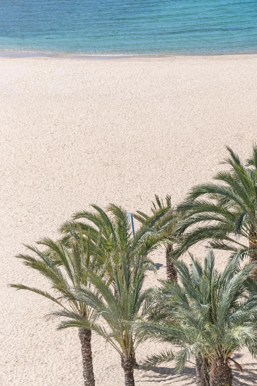 Beach, Hotel Rosamar, Barcelona