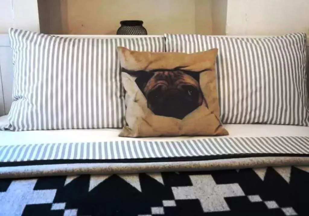 Room, Pug Rooms, Izmir