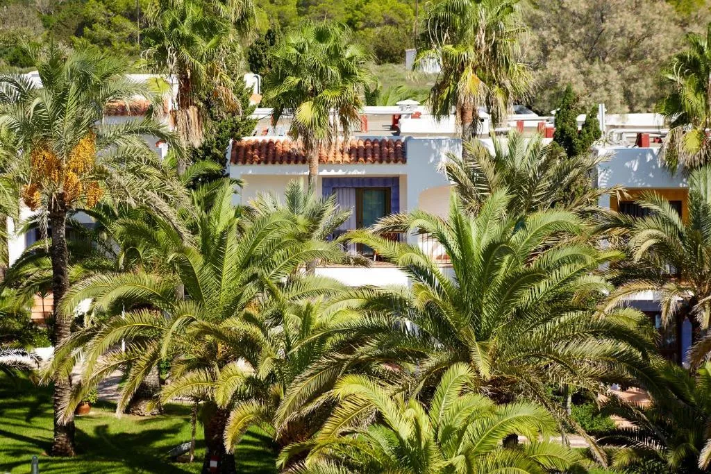 General view, Insotel Hotel Formentera Playa, Ibiza