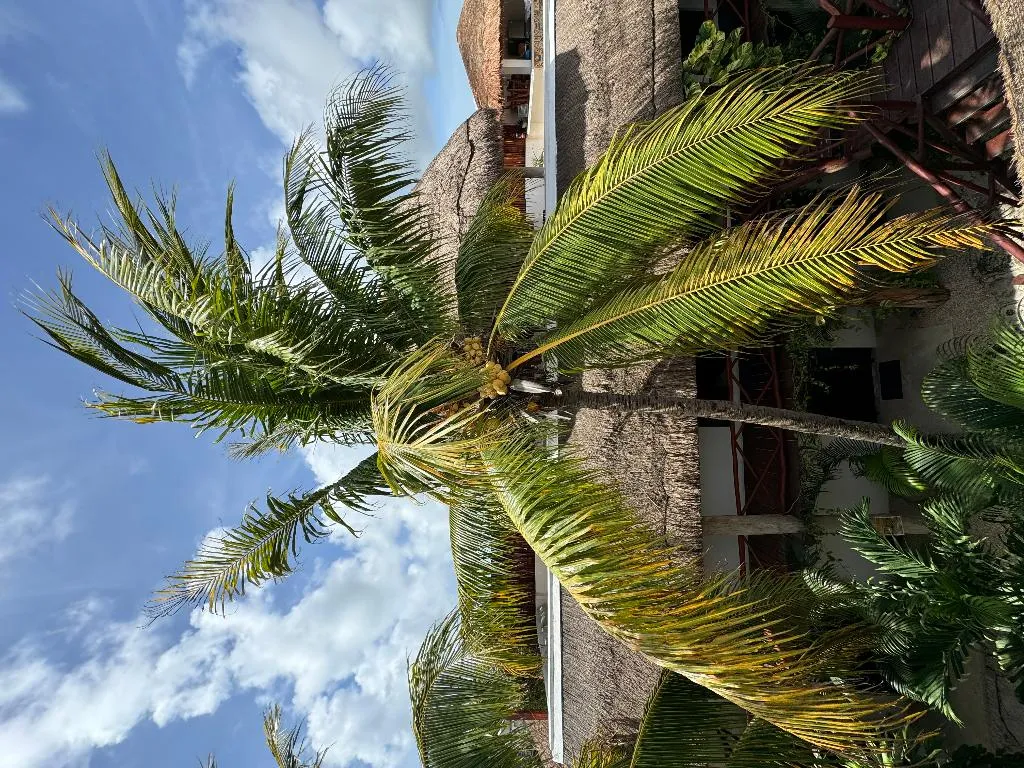 General view, Kin Ha Tulum Hotel, Cancun Area