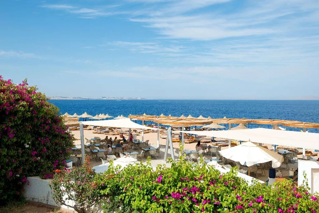 Beach, Amphoras Blu, Red Sea Riviera
