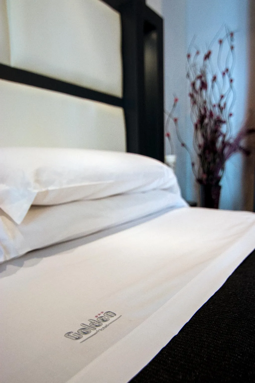 Double or Twin STANDARD Room, Golden Hotel srl, Naples