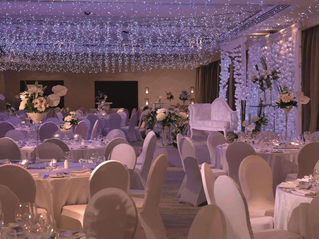 Conferences, Radisson Blu Cairo Heliopolis, Cairo