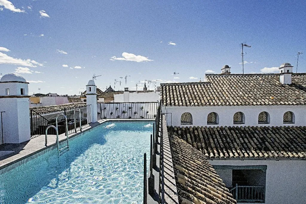 Pool, Hospes Las Casas del Rey de Baeza,, Seville