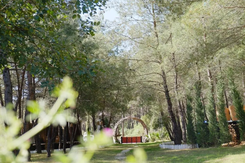 General view, Mossa Afkule Kayakoy, Dalaman