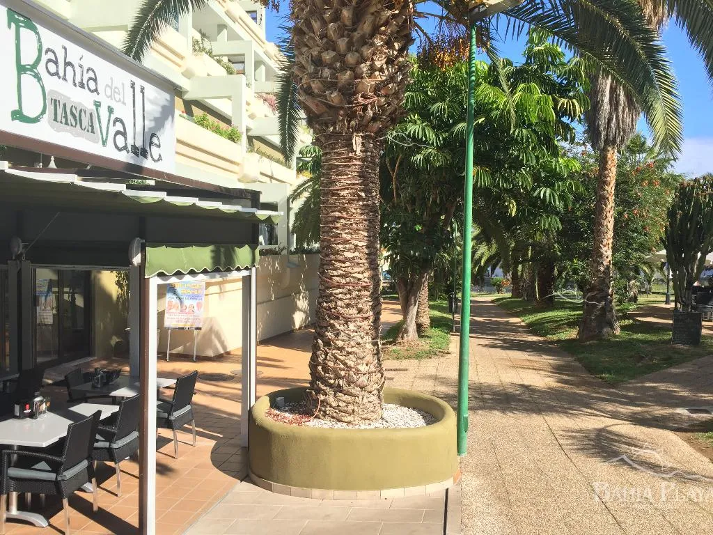 Bar, Bahia Playa, Tenerife