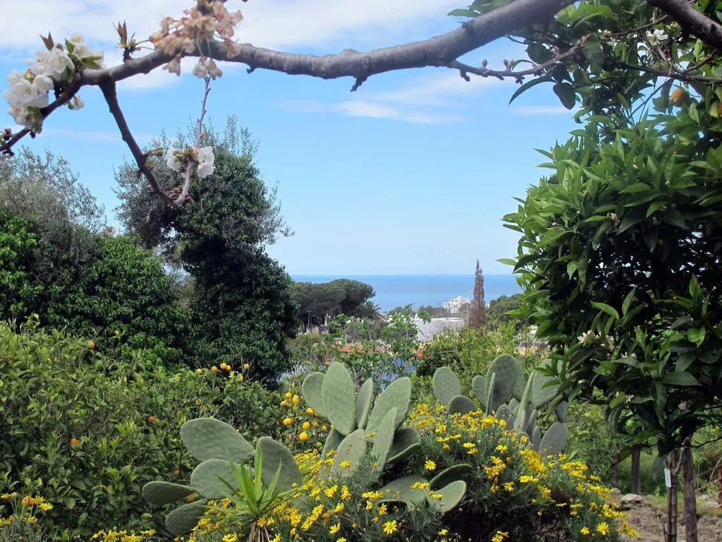 General view, Residence Villa Marinù, Naples