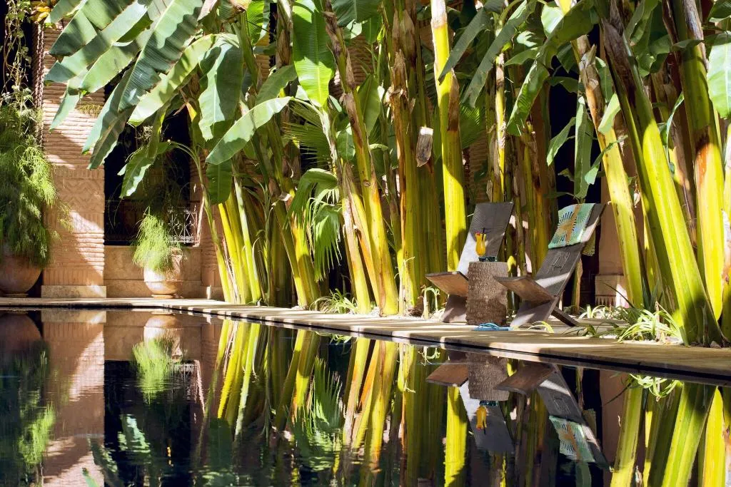 Pool, Tigmiza Suites & Pavillons, Marrakech