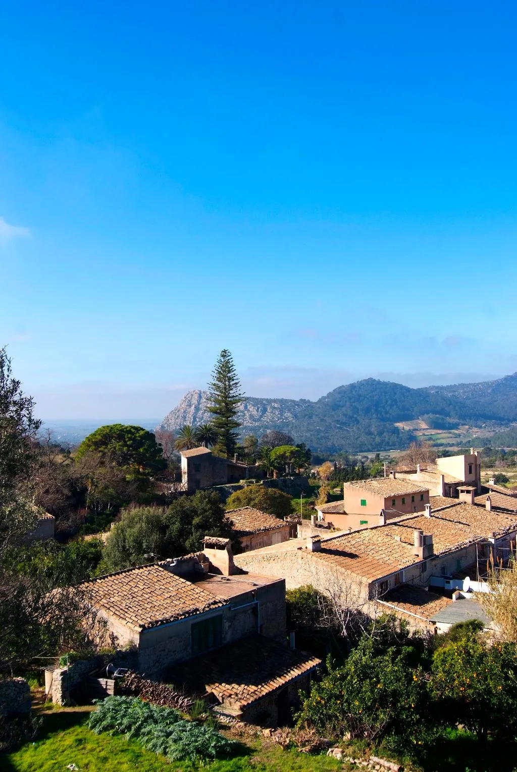 General view, reco de Randa, Majorca