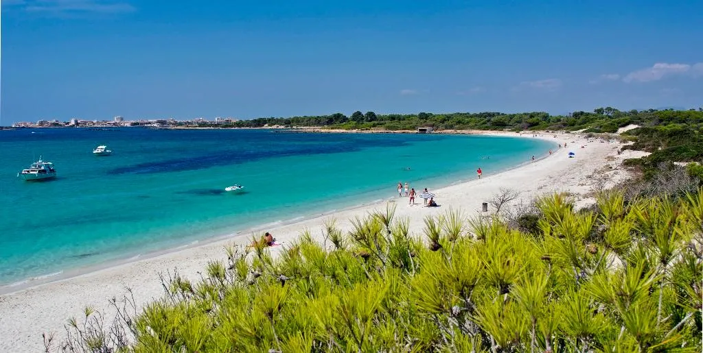Beach, Aparthotel Isla de Cabrera, Majorca