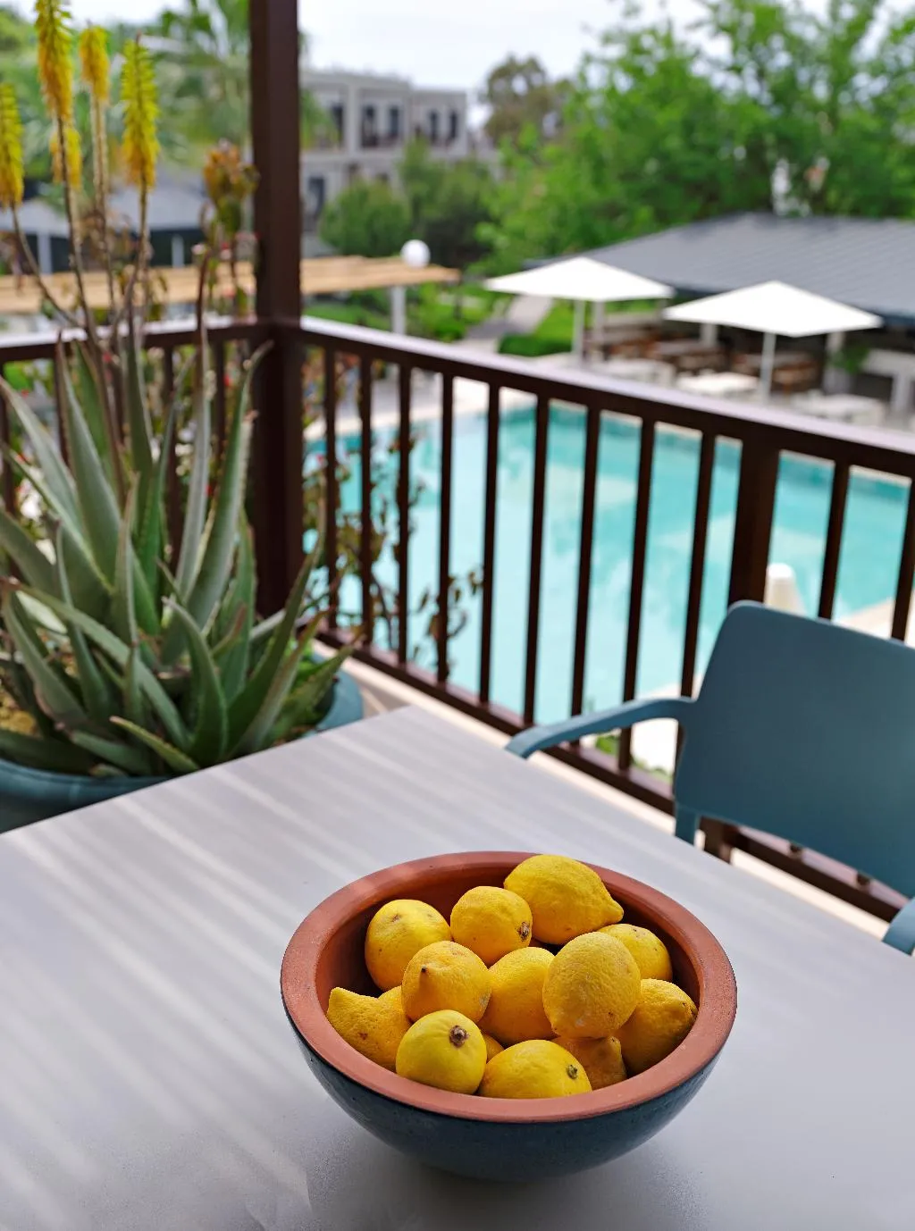Terrace, Dorman Suites Hotel, Bodrum