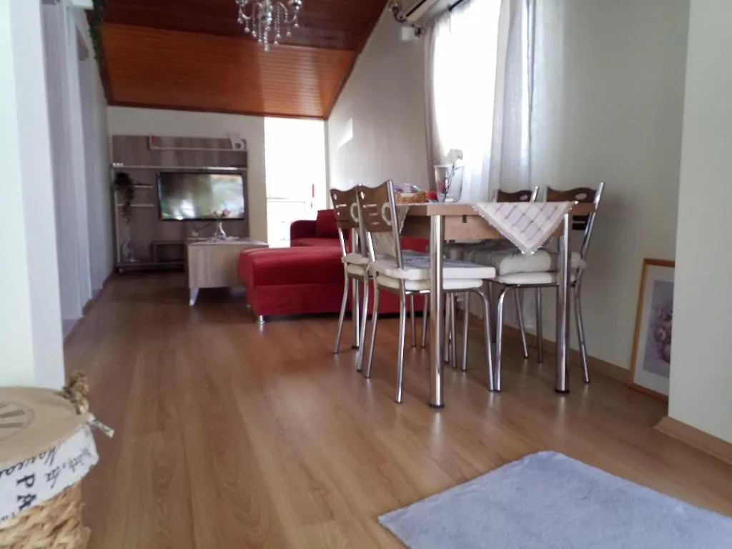 Room, Kamelya, Dalaman