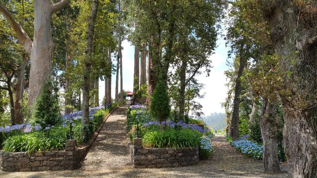 General view, Hotel Quinta da Serra - Bio Hotel, Madeira