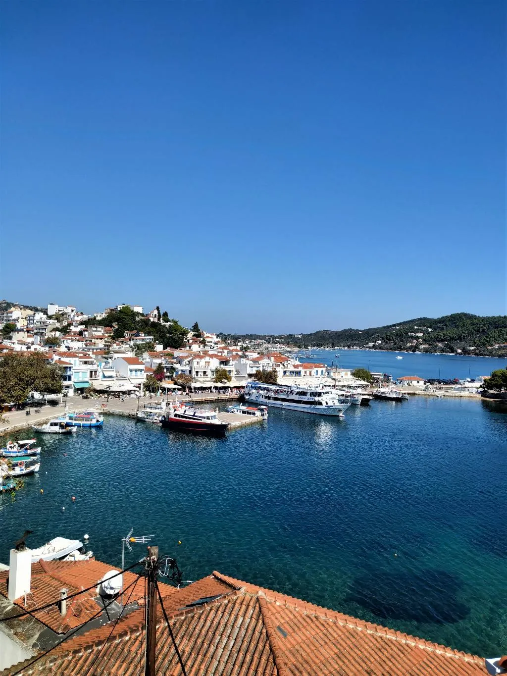 APARTMENT CAPACITY 4 Room, Argo, Skiathos