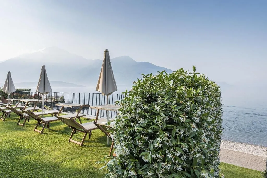 Terrace, Regina, Milan