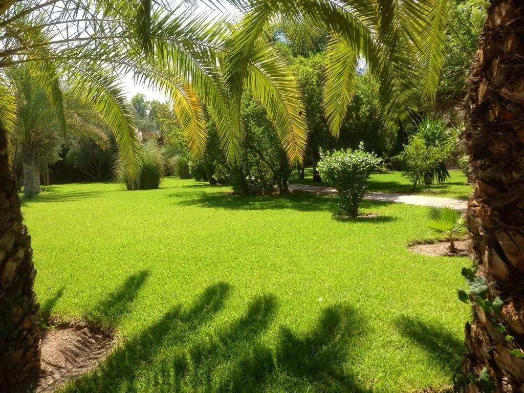 General view, Villa al Assala Palmeraie, Marrakech