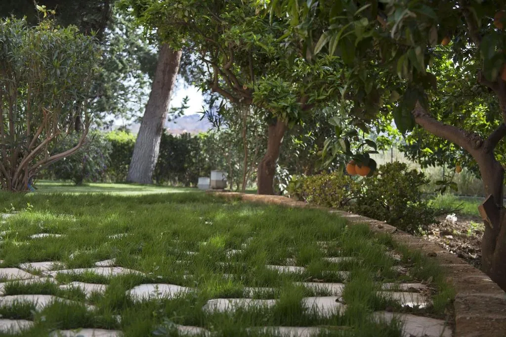 Sports and Entertainment, B&B Villaseta, Catania