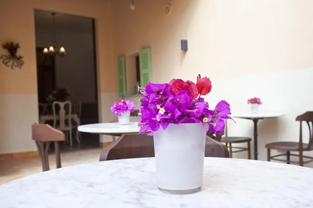 Terrace, Casal de Petra - Rooms & Pool, Majorca