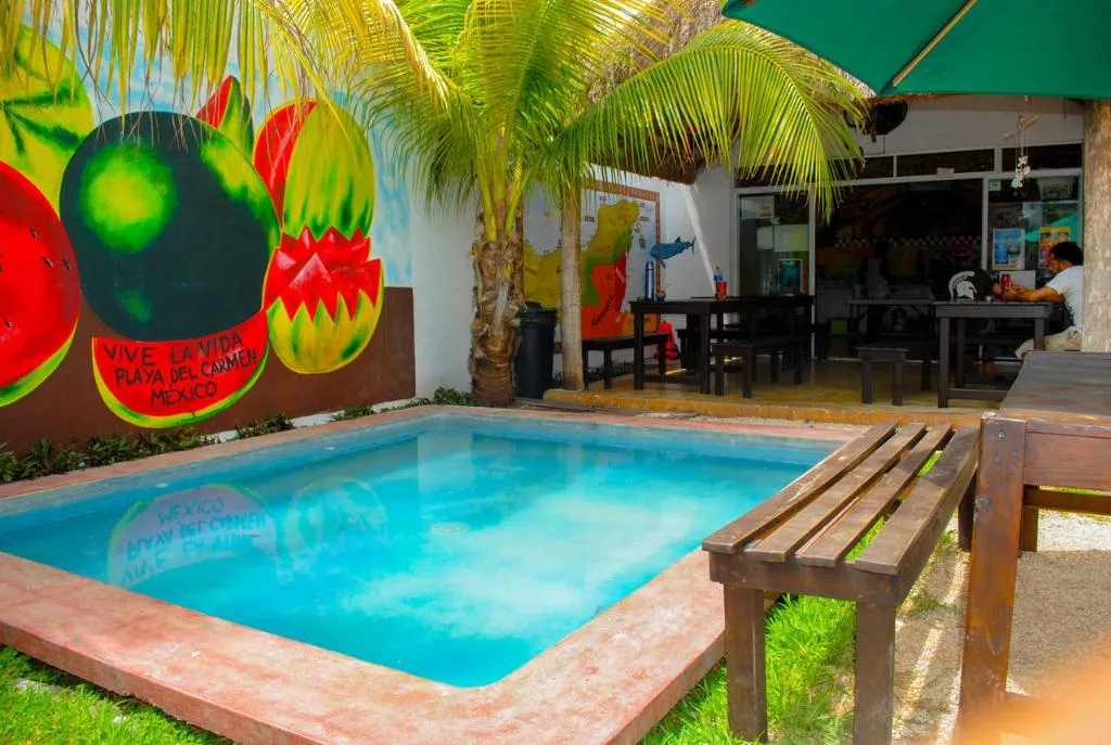 Pool, Hostal Vive La Vida, Playa Del Carmen