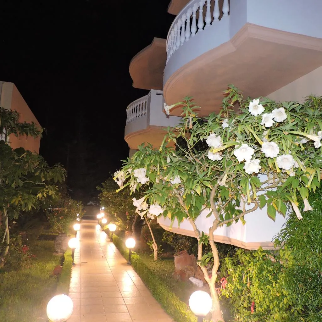 General view, Golden Rose, Crete