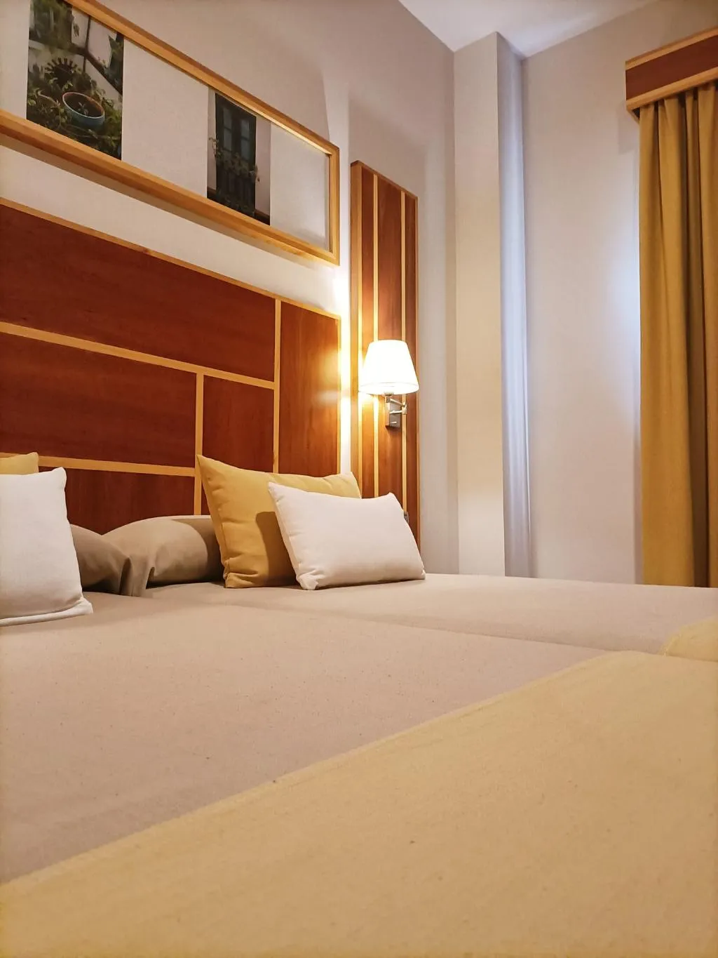 DOUBLE STANDARD Room, Hotel Carmen, Costa Del Sol