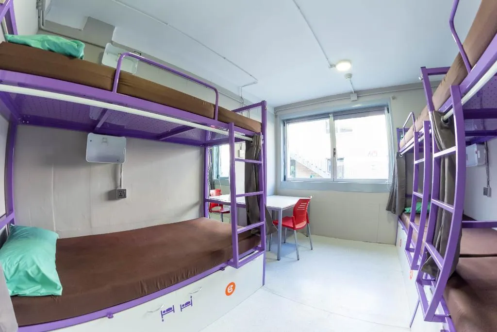 Bed in dormitory FEMALE ROOM Room, Scout Madrid Hostel, Madrid