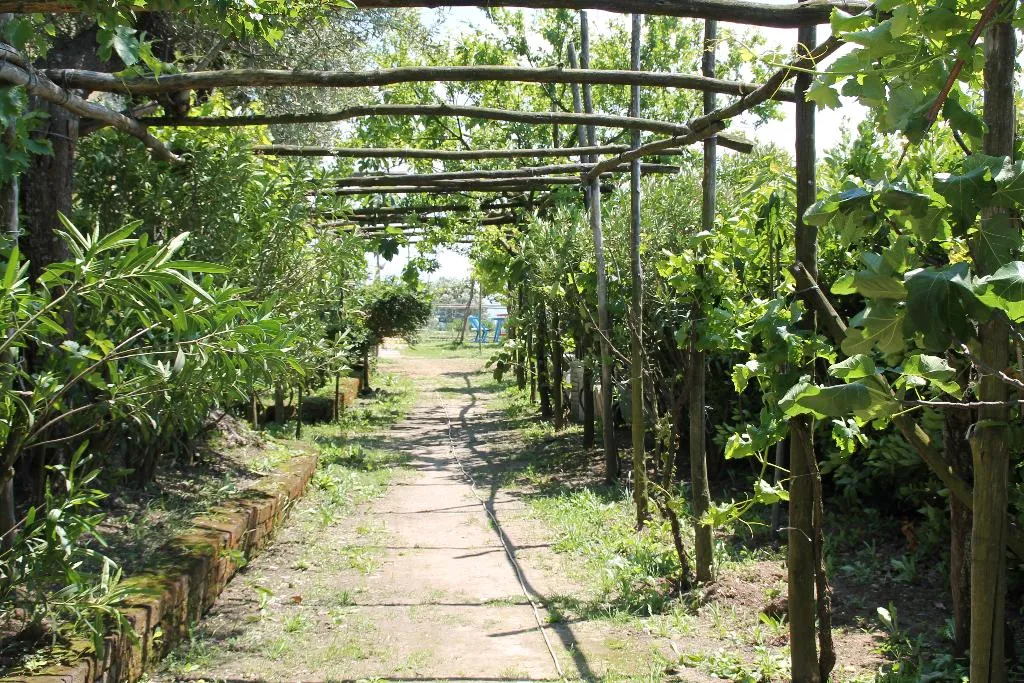 General view, Agriturismo Piccolo Paradiso, Naples