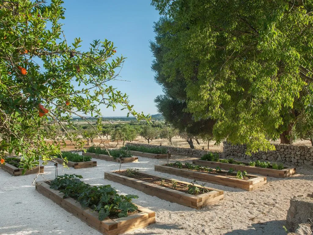 Sports and Entertainment, The Lodge Mallorca, Majorca