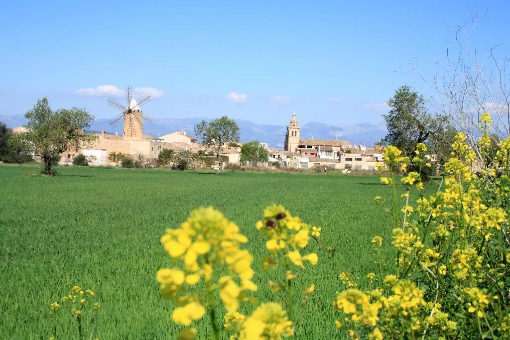 General view, Algaida Suite By Eurotels, Majorca