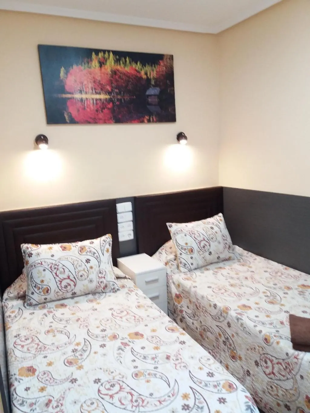 Room, Hostal Numancia, Madrid