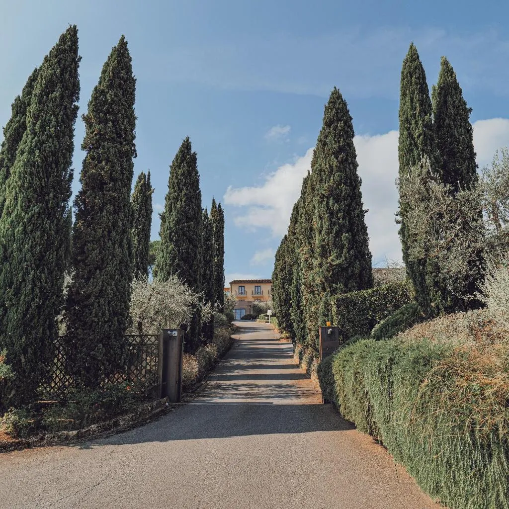 General view, Villa San Paolo, Florence