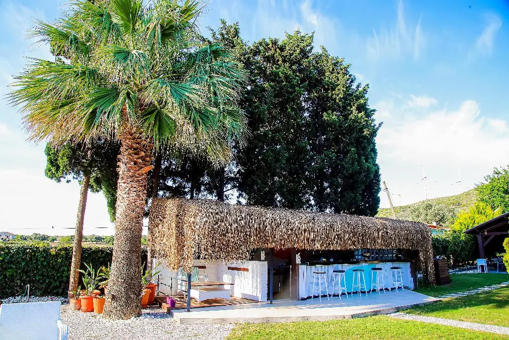 Bar, Suess Alacati, Izmir