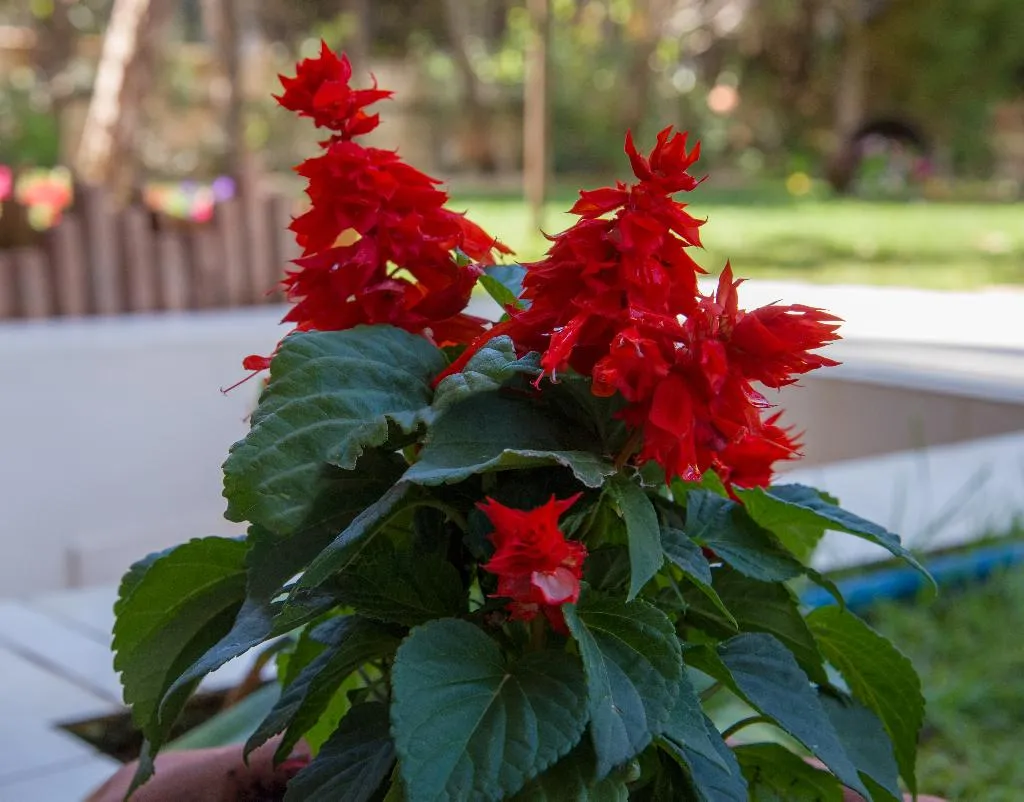General view, Stamatakis Boutique Studios, Crete