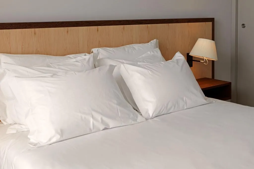 Double or Twin STANDARD Room, Abrigo da Montanha Hotel Rural & SPA, Porto