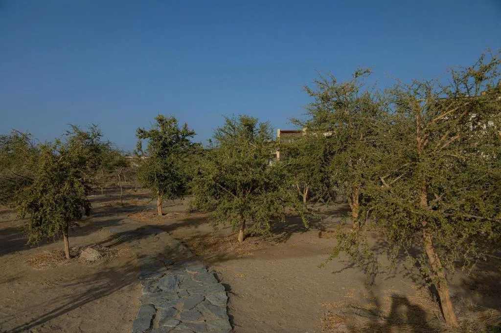 General view, Wadi Sabarah Lodge, Red Sea Riviera