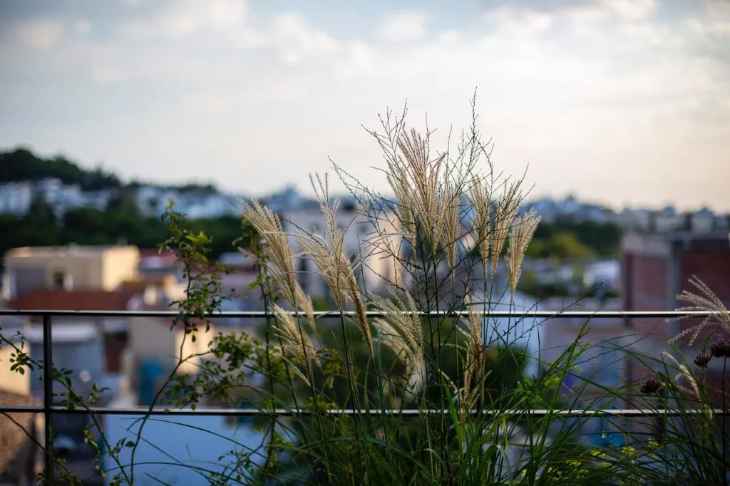 Terrace, The Foundry Suites, Athens