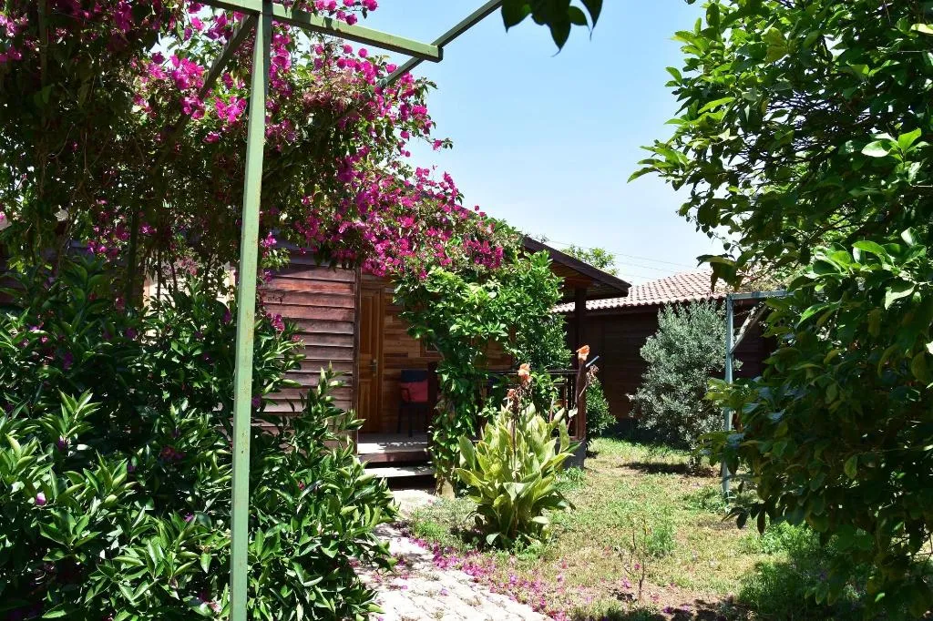 General view, Lemon Garden Lodge, Antalya