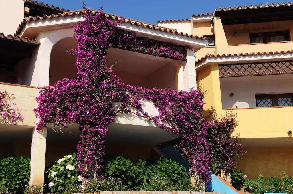 APARTMENT CAPACITY 4 Room, Vallemare Residence E Residenza, Olbia
