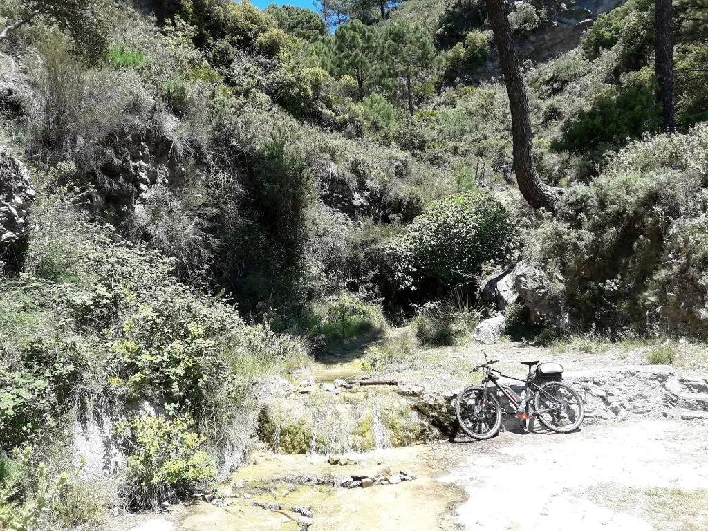 Sports and Entertainment, Campo Agave - Boutique B&B en Glamping, Costa Del Sol