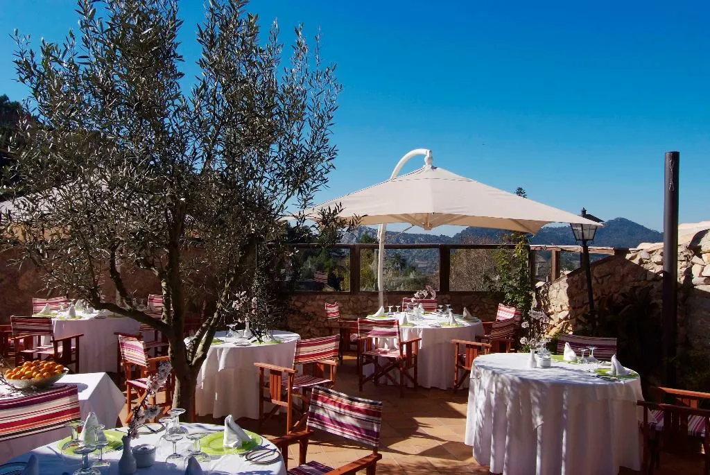 Terrace, reco de Randa, Majorca