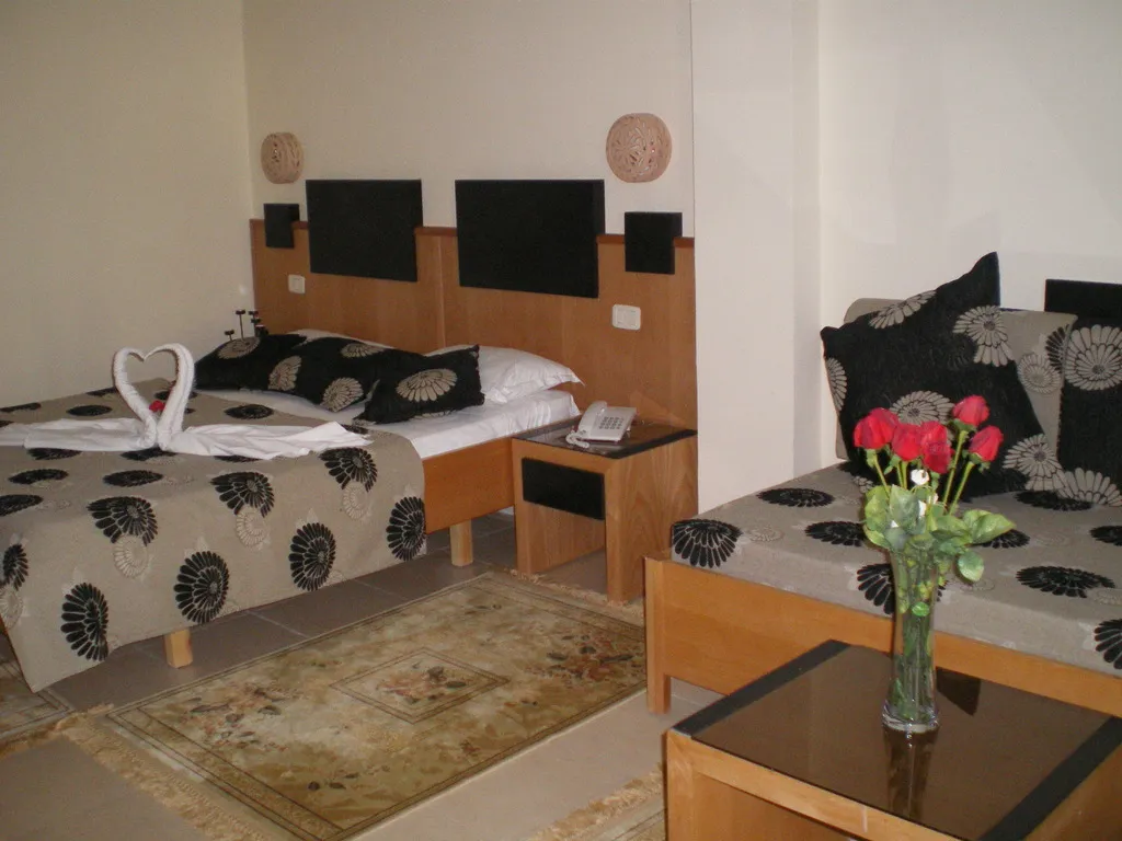 Room, Les Palmiers, Tunisia