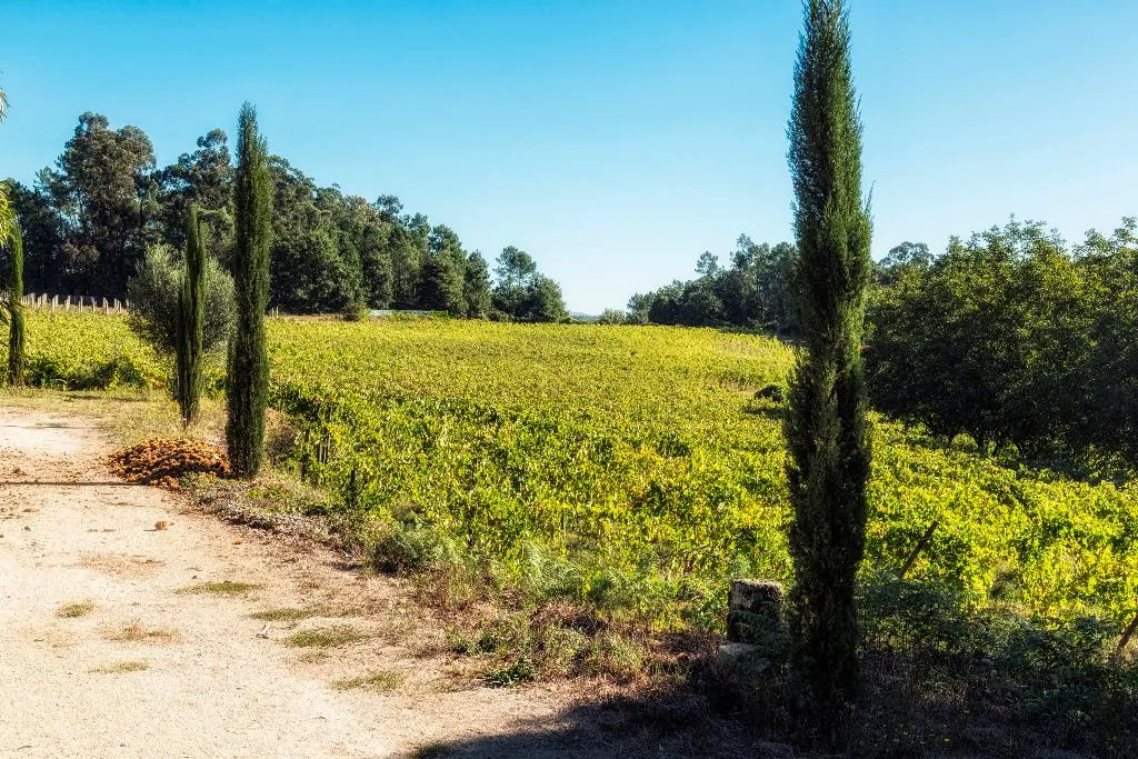 General view, Quinta Do Ameal - Wine & Tourism, Porto